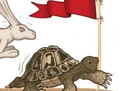 Hare or Tortoise ?