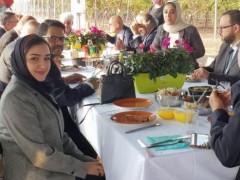 A ‘FRUITFUL LUNCH' UNDER AN ANCIENT TREE !